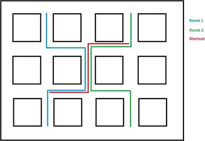 The Acquisition of Survey Knowledge by Individuals With Down Syndrome